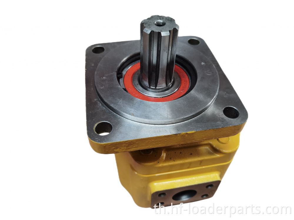 ปั๊มเกียร์ไฮดรอลิก hydraulic gear pump